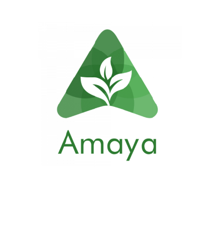 Amaya