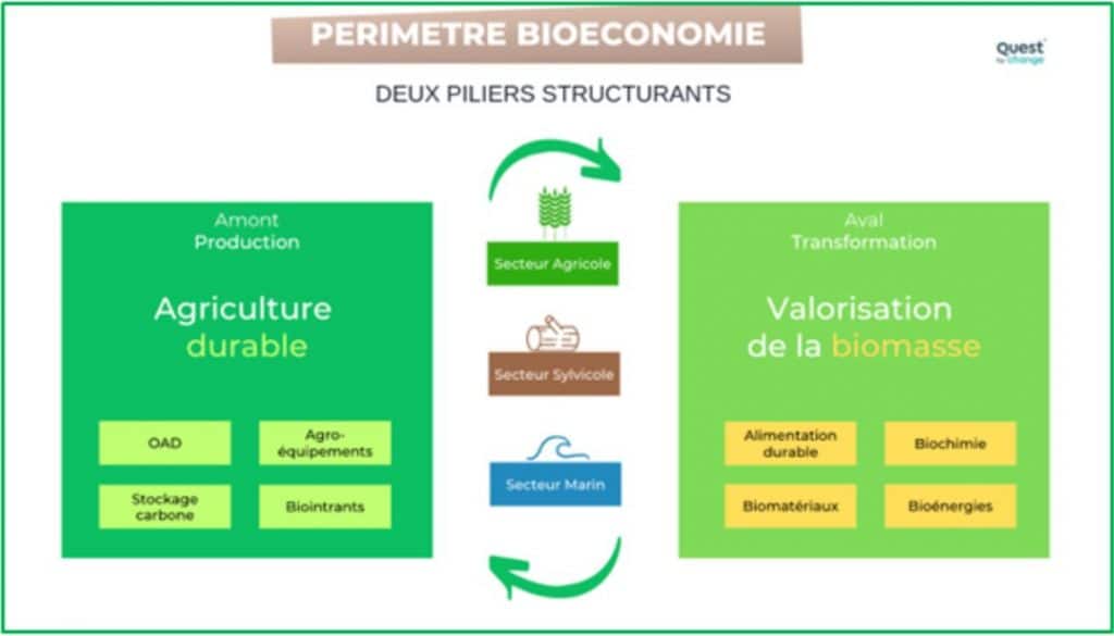 schema du périmètre de la bioéconomie. 2 piliers structurants avec l'agriculture durable et la valorisation de la biomasse.