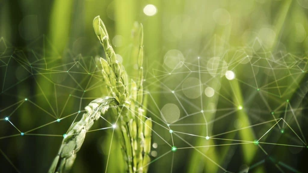 bioeconomie agriculture durable