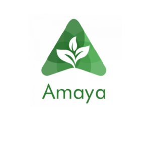 Amaya