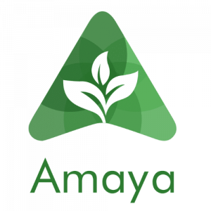 Amaya